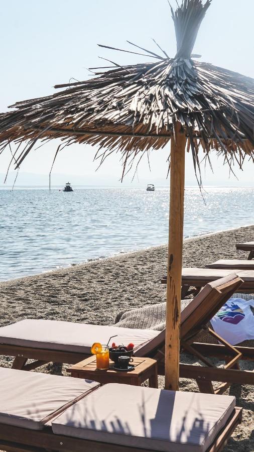 Bungalows Iphigenia Πευκοχώρι Εξωτερικό φωτογραφία